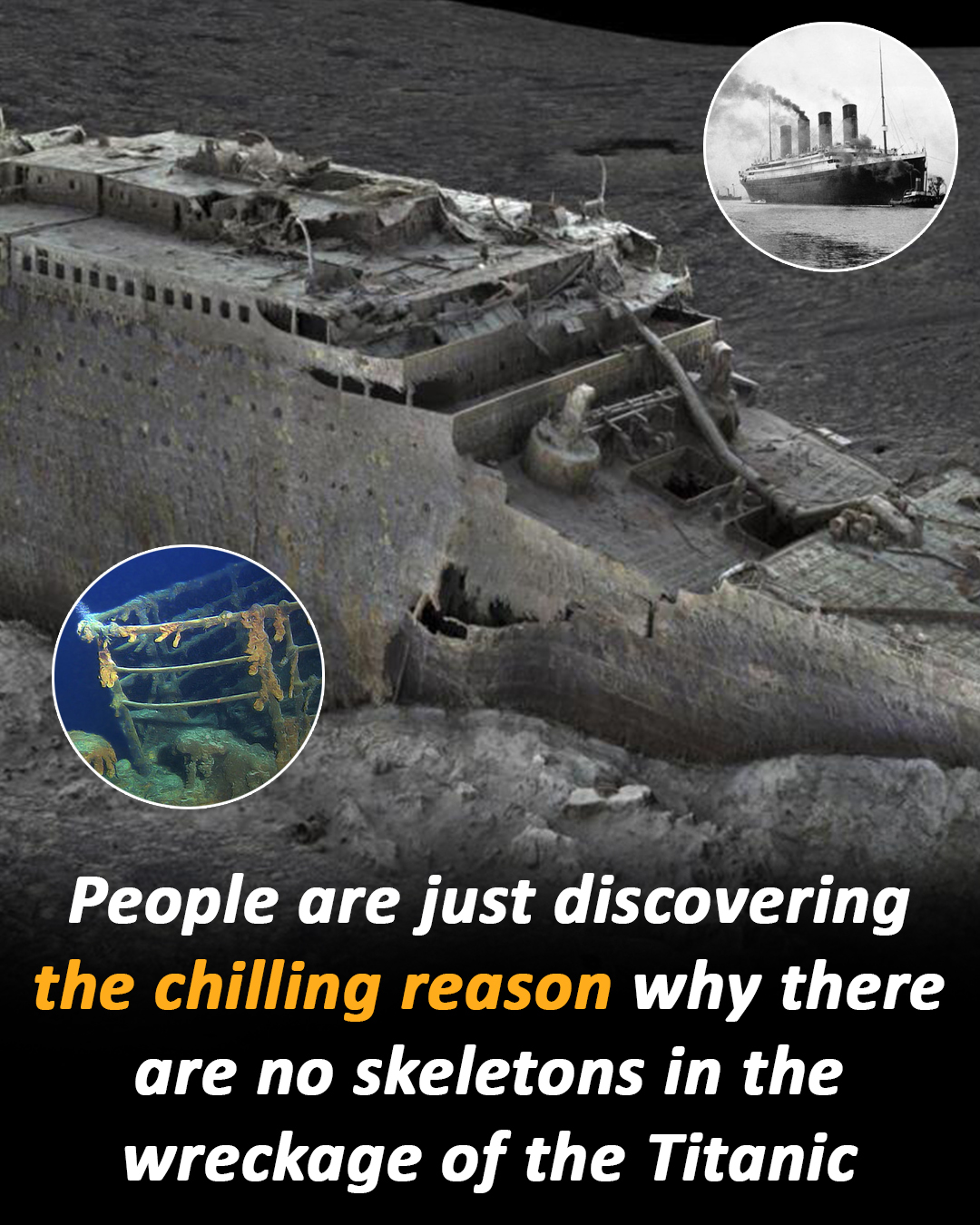 Tsunami alert after 7.6 quake hits major travel destination