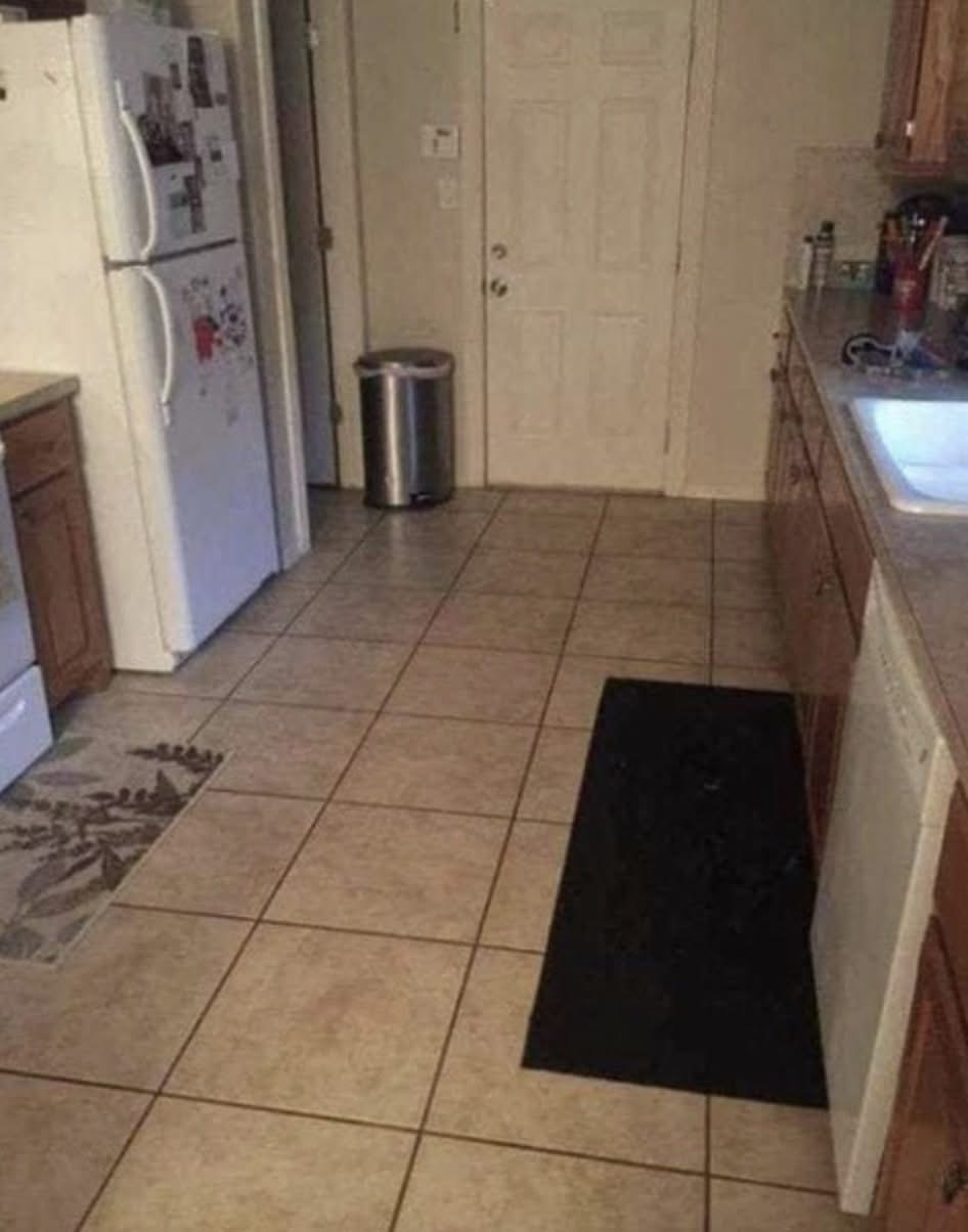 Internet Stumped After Woman Asks Followers To Spot The Hidden Dog In Her Kitchen
