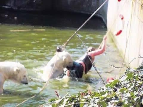 A 32-year-old woman was at-tacked by a polar bear after she jumped into their enclosure at the Berlin Zoo.