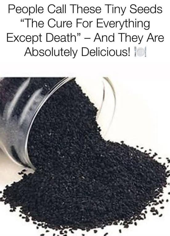 This black seed is a remedy for everything here’s what it can do for you…