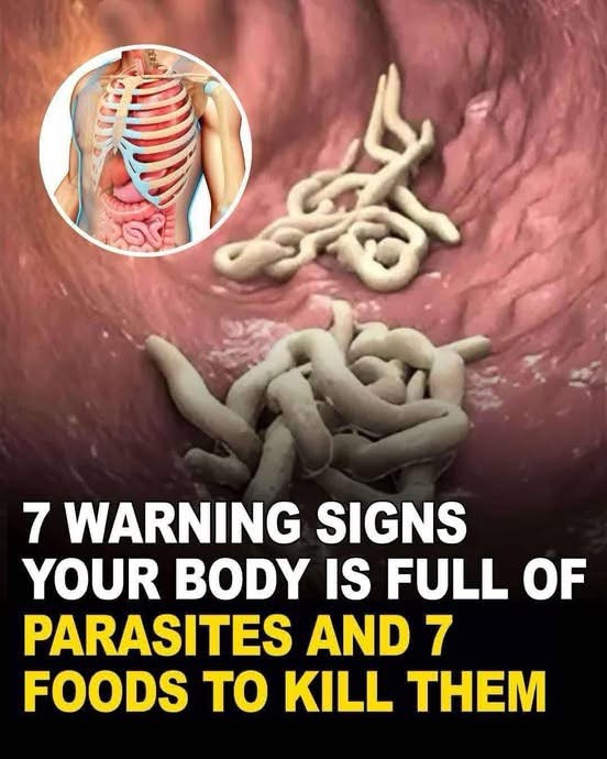 7 Signs Of Intestinal Parasites Living Inside Your Body