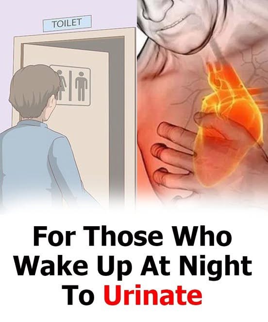 Excessive Urination: Causes, Symptoms, and When to Worry