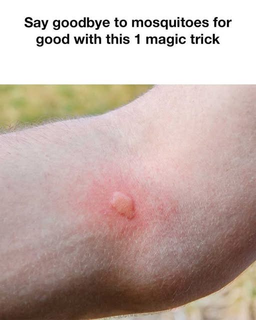 I didn’t realize this would work!