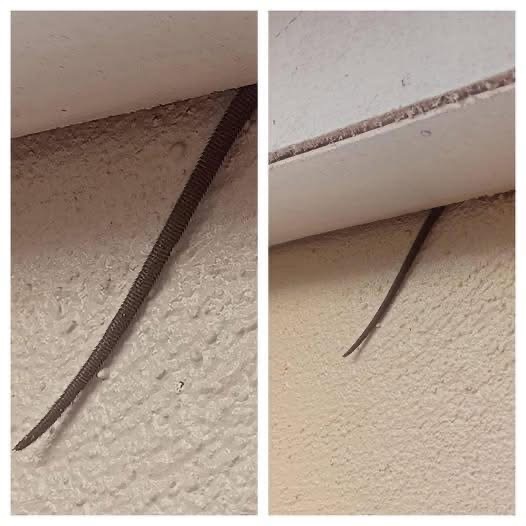 Online user finds creepy object hanging from ceiling