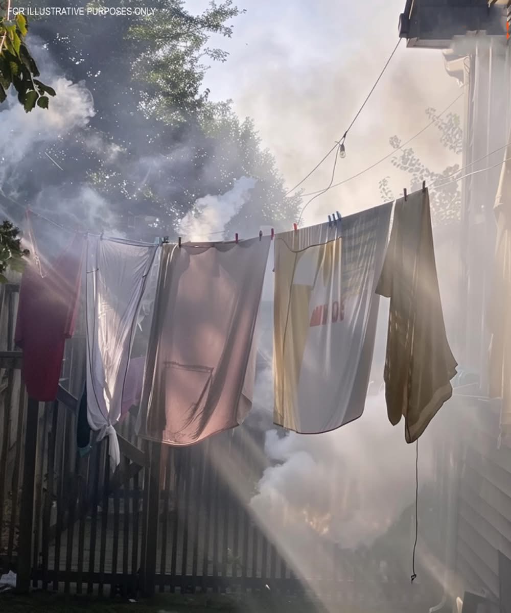 MY NEIGHBOR STARTED A BARBECUE EVERY TIME I HUNG LAUNDRY OUTSIDE JUST TO RUIN IT