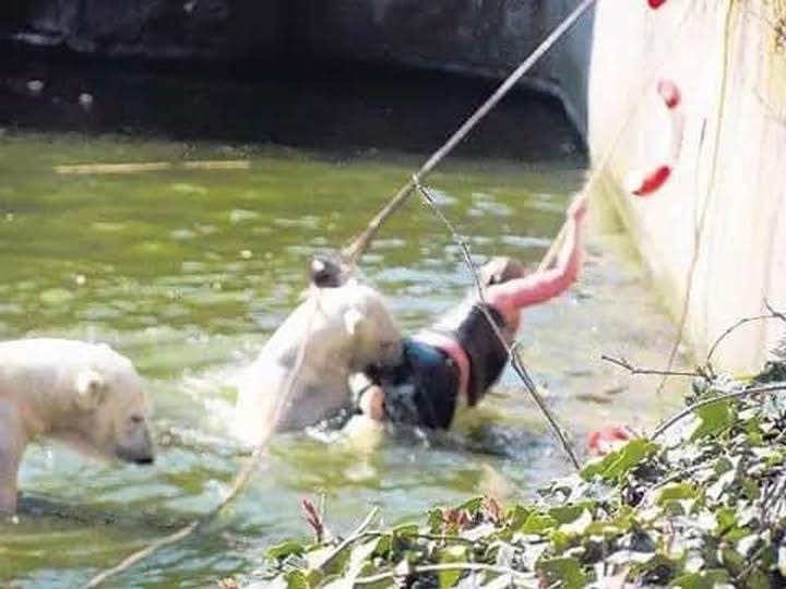 🤯A 32-year-old woman who jumped into a polar bear enclosure at the Berlin Zoo was attacked by a polar bear