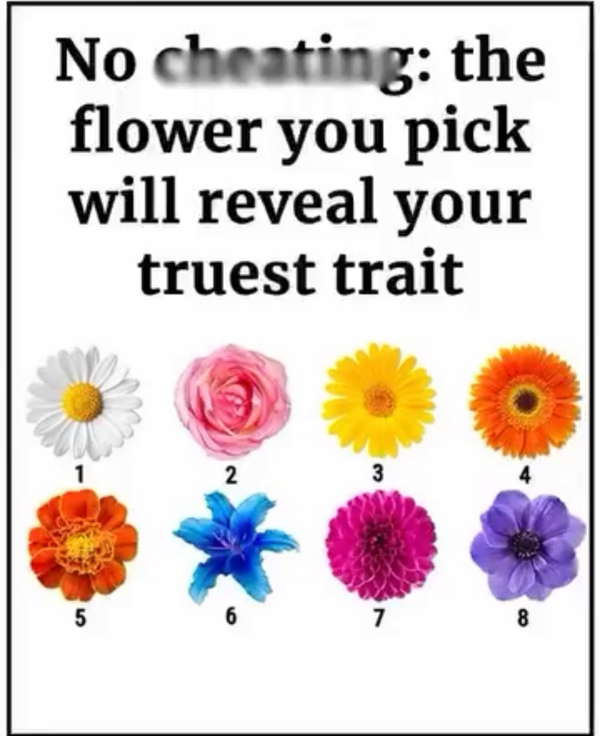 What Your Favorite Flower Reveals About You