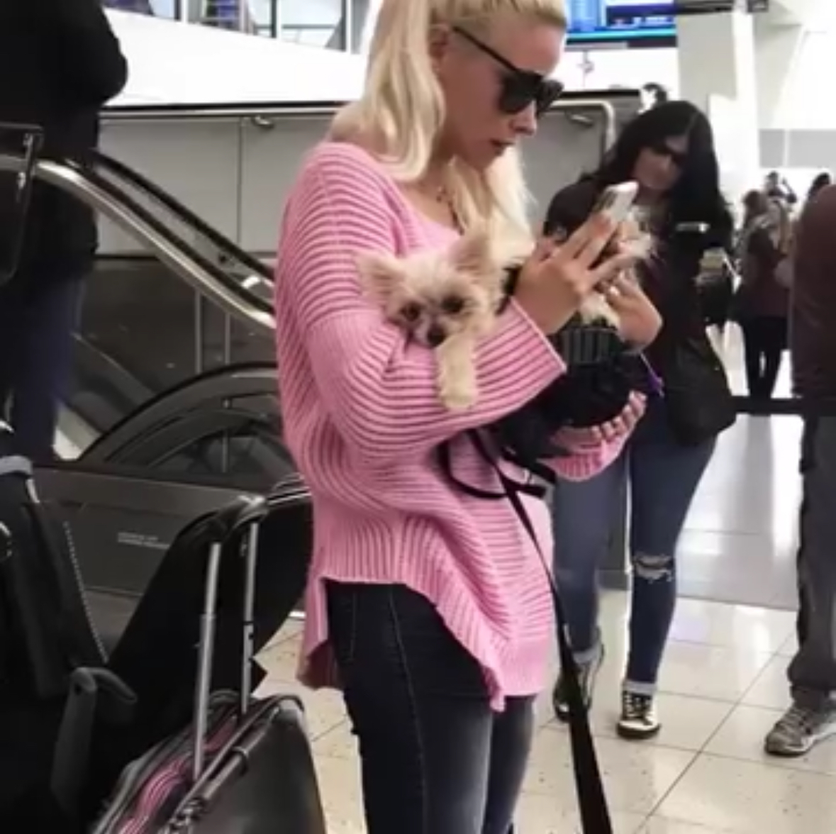 The Dog Wasn’t the Problem — The Owner Was. So I Took Matters into My Own Hands at the Gate