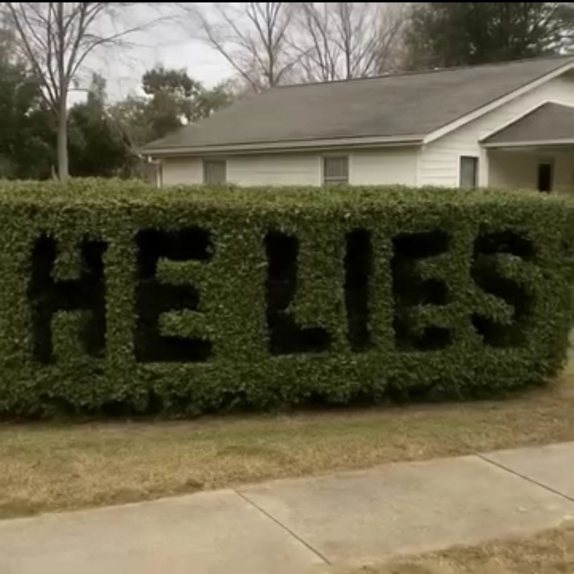 He Lies” Was Carved Into My Hedge—What I Discovered Next Shattered Me