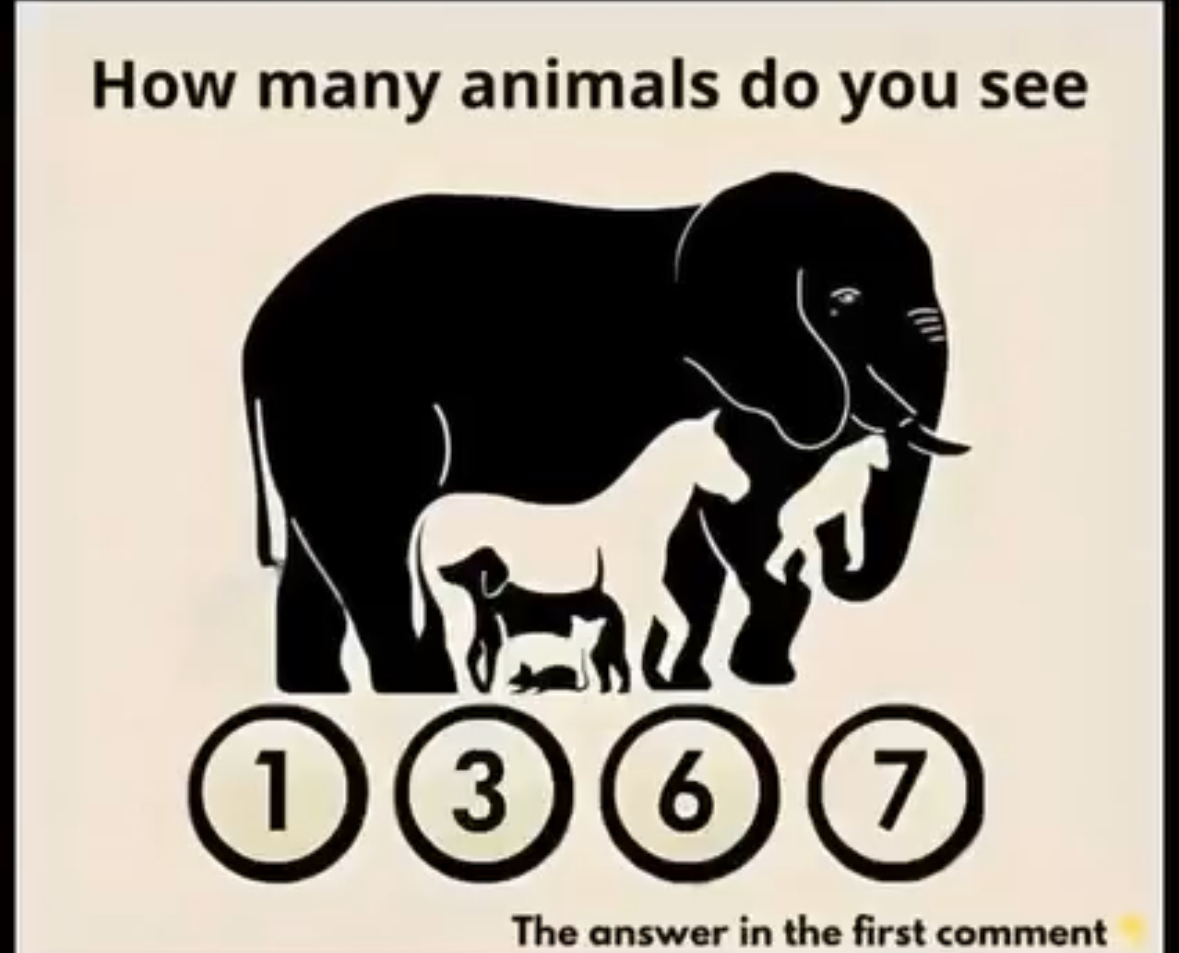 Can You Spot All the Hidden Animals in This Image