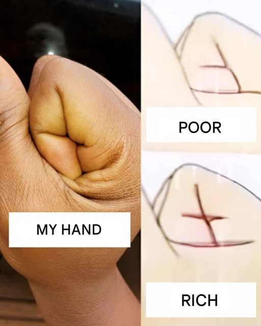 The secret of our hand that reveals whether we are rich or poor