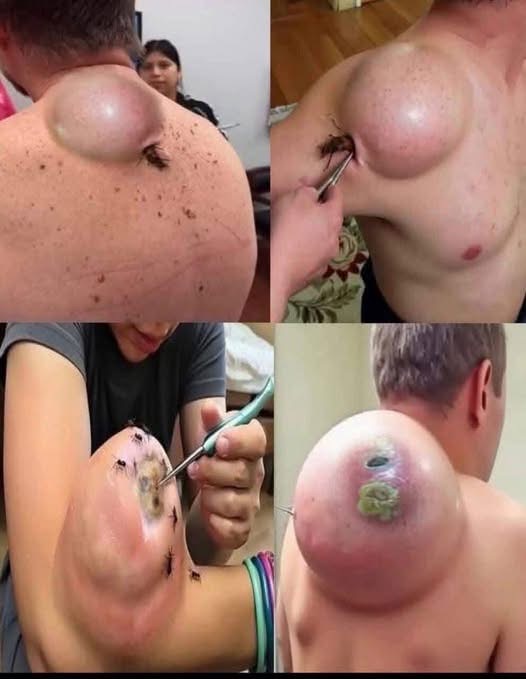 These are the signs that he is cr… See more