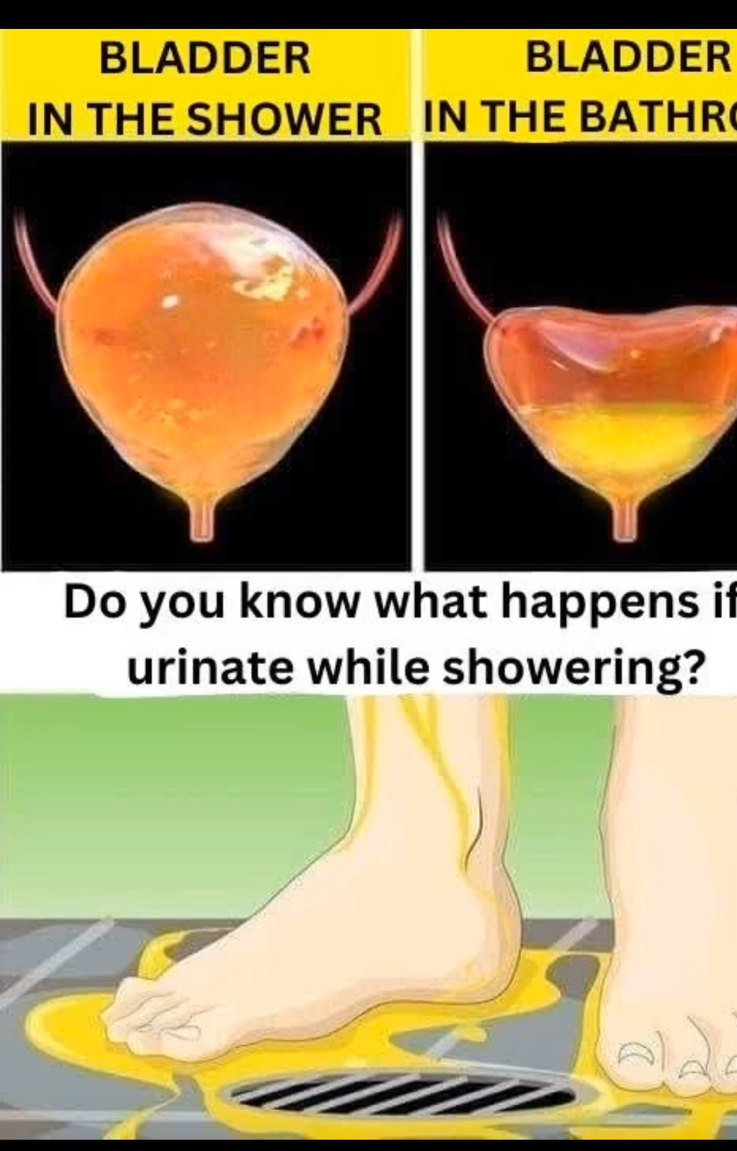 If you urinate in the shower, be careful, you should know that… See more