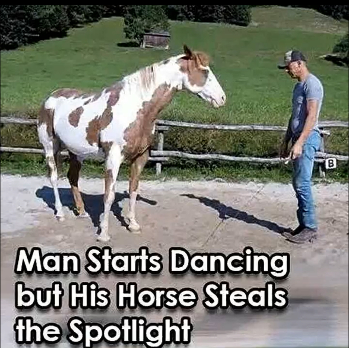 VIDEO) Man Begins Dancing, but His Horse Takes Center Stage