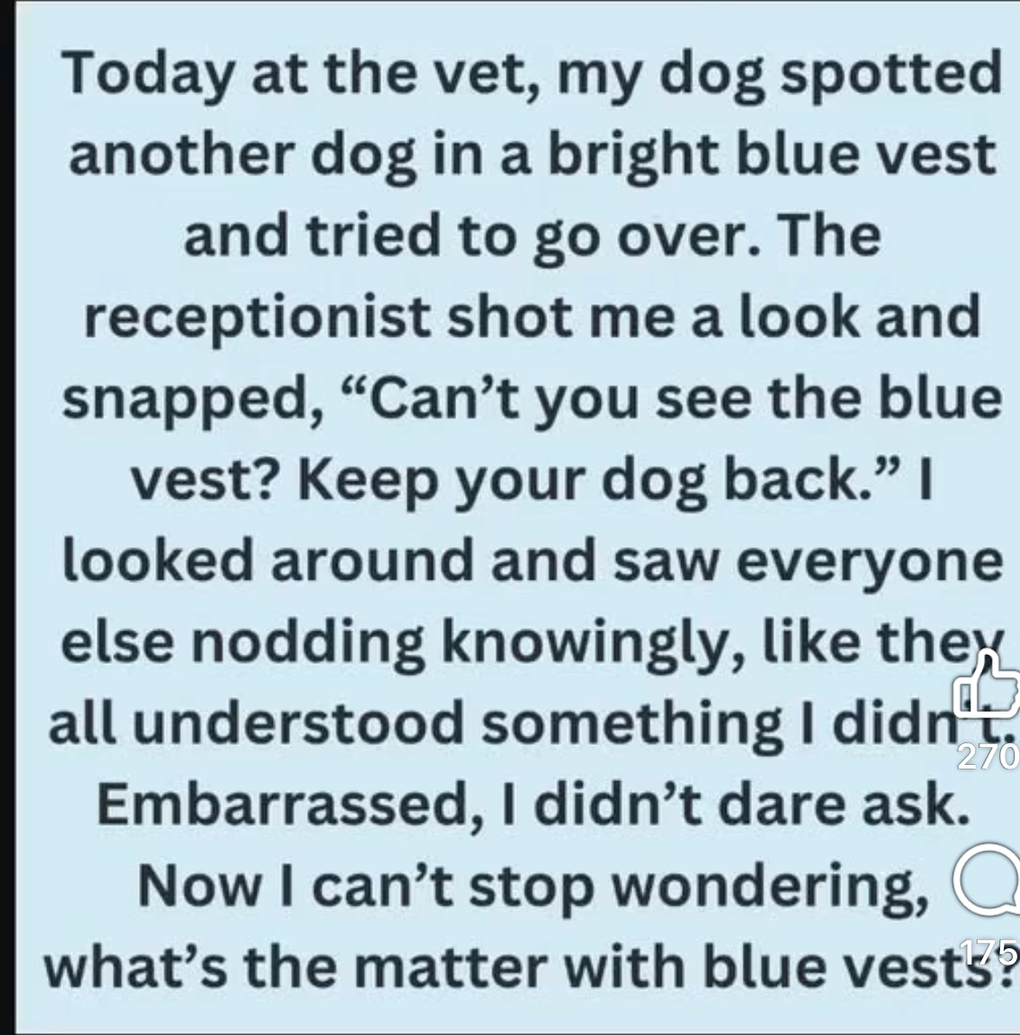 The Hidden Meaning Behind a Dog’s Blue Vest, Leash, or Bandana