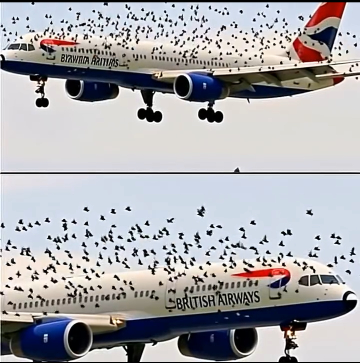 Pilot Reacted Emotionally When He Realized