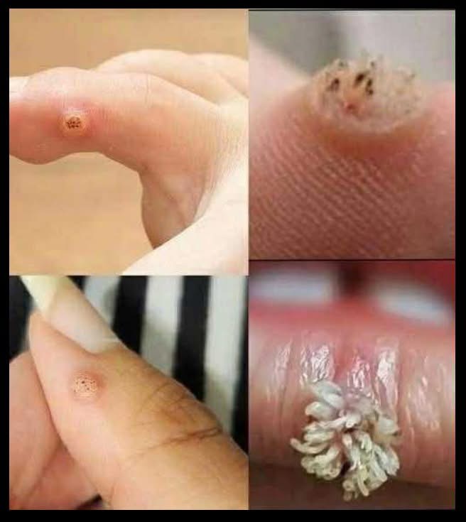 😲‼️To BE VERY CAREFUL . If you get this!