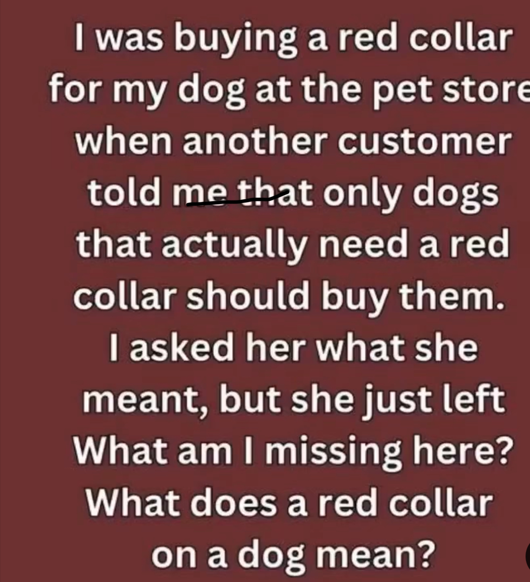 If You See a Dog in a Red Collar, Here’s What to Know