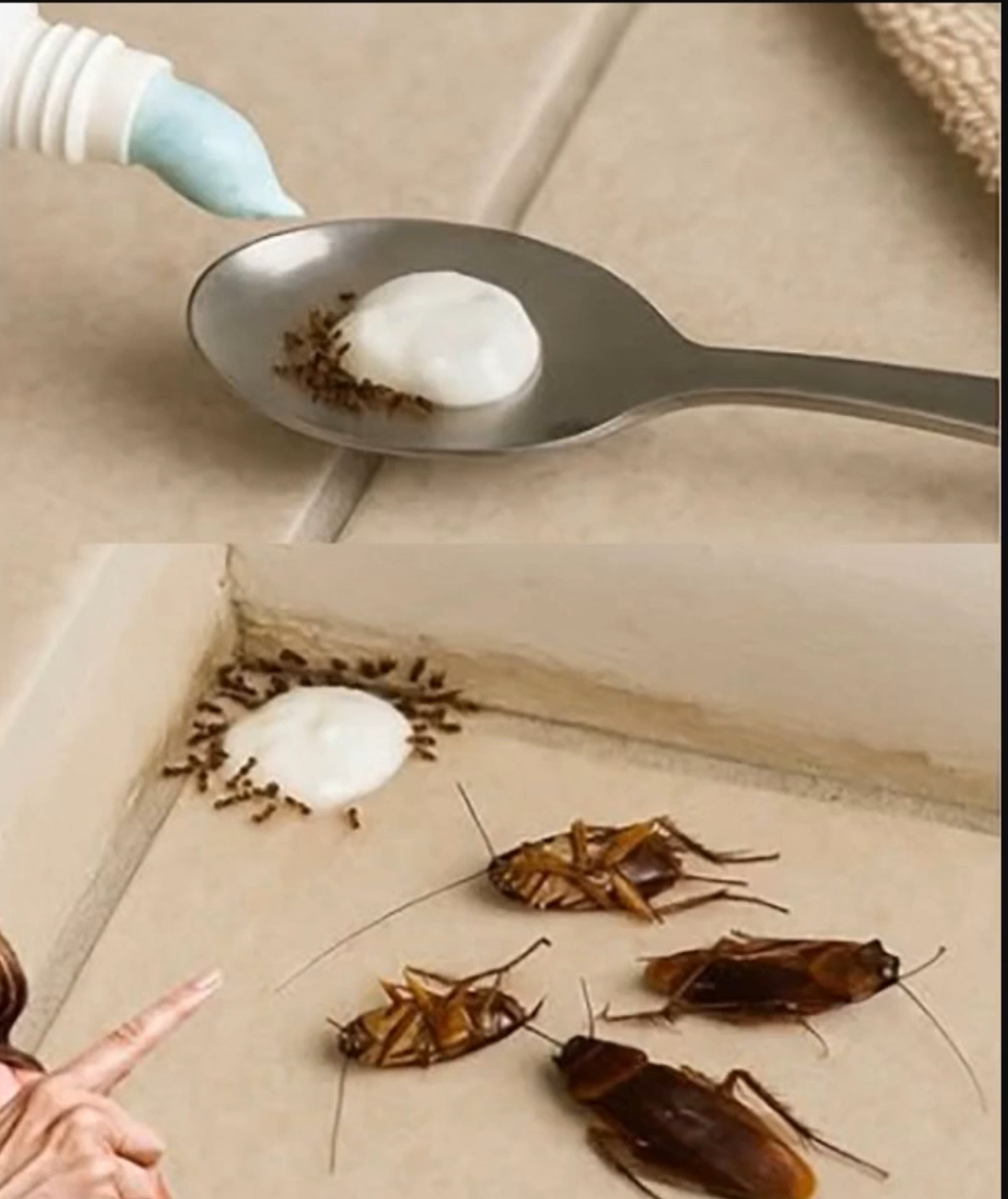 This One Trick Will Keep Flies Out for Good