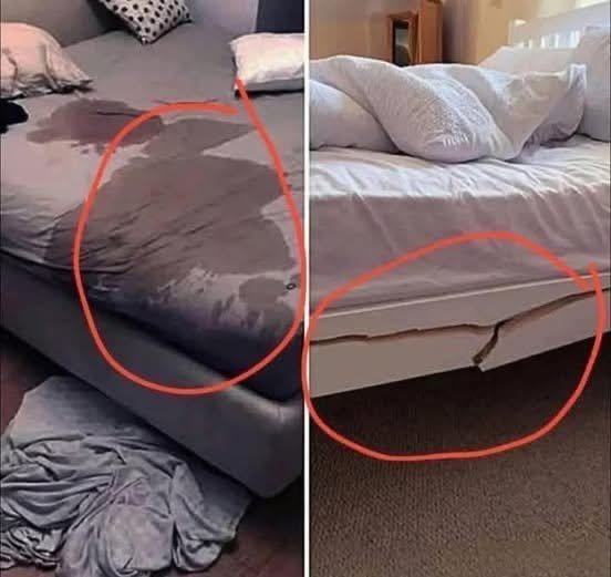 A Woman’s Large Breasts Indicate That Her Vagin…