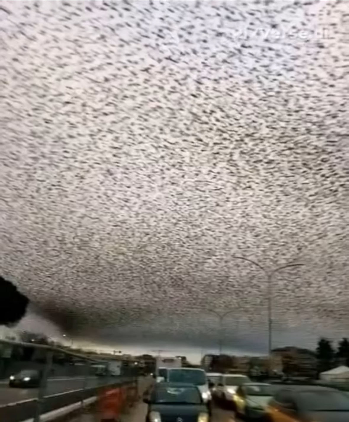 ALERT EVERYONE: One Hour Ago Mhoni Vidente WARNED…See More