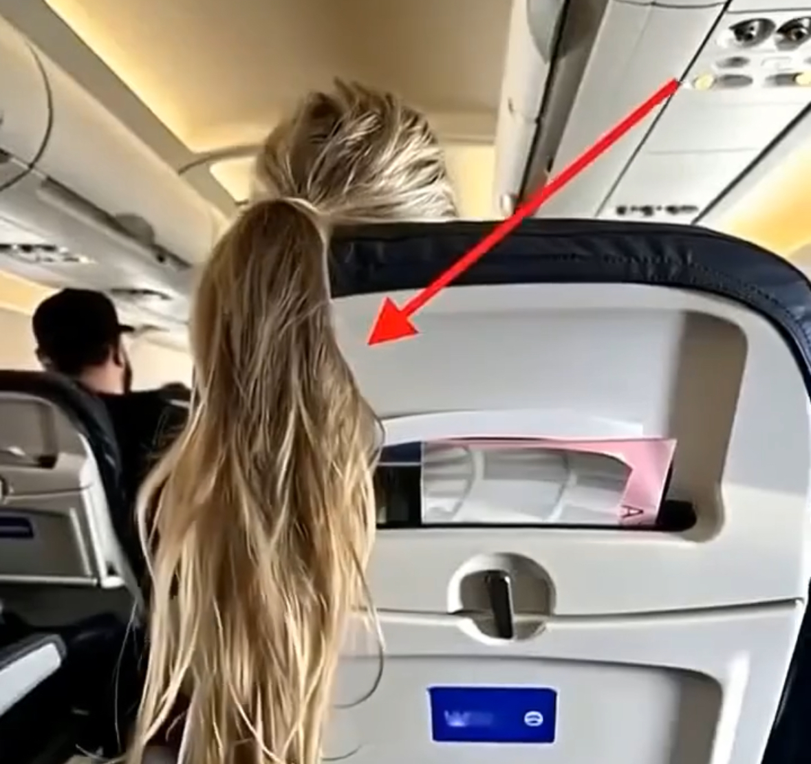Annoying Passenger Draped Her Hair Over My Seat — My Payback Was Perfect