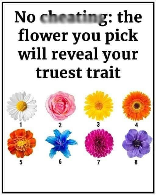 The Flower You Pick Will Reveal