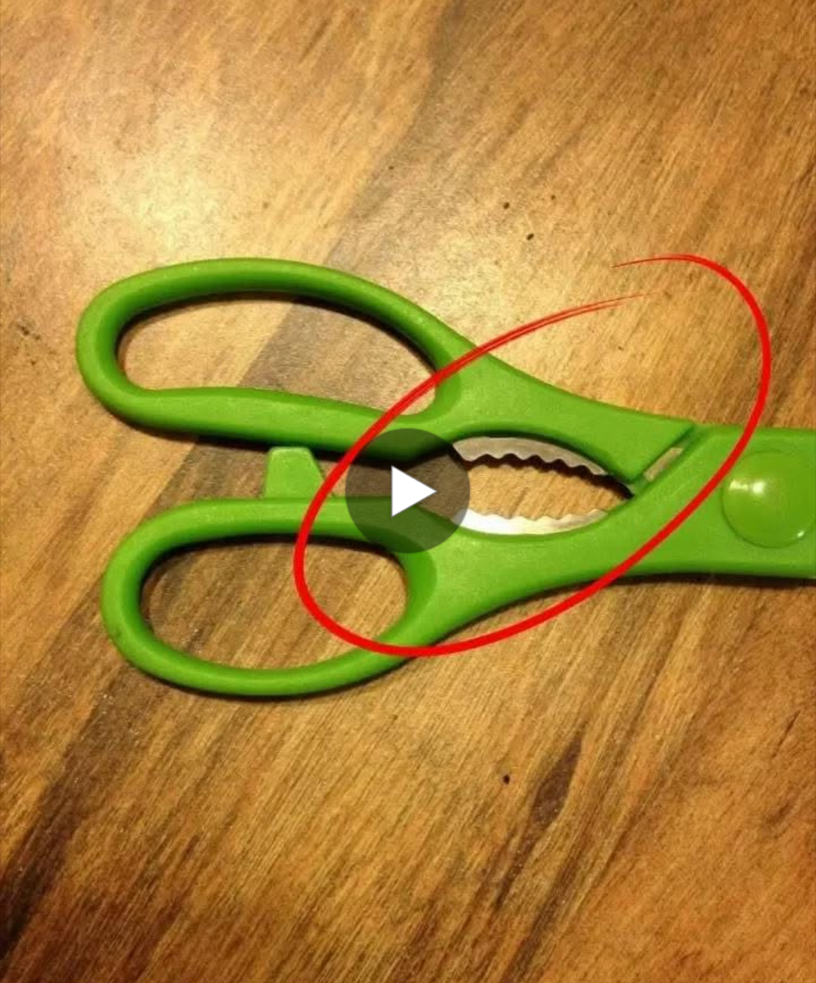 The Hidden Purpose of the Notched Section on Your Kitchen Scissors You Never Knew About