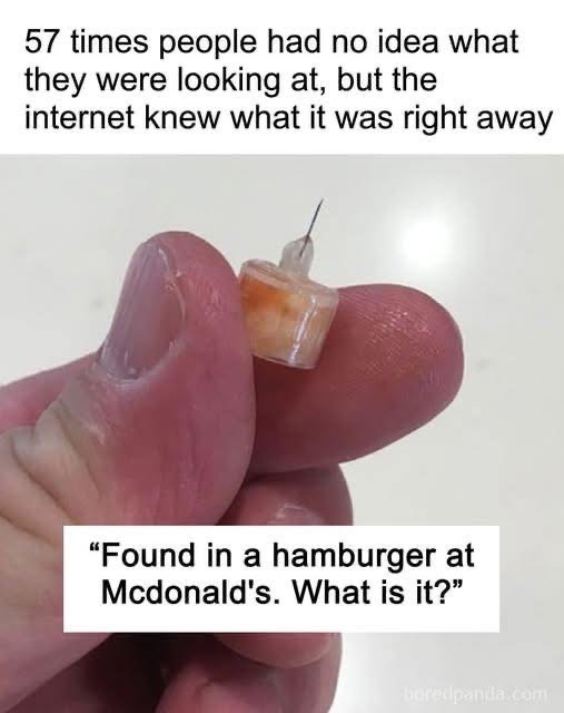 57 Times People Had No Idea What They Were Looking At, But The Internet Knew What It Was Right Away