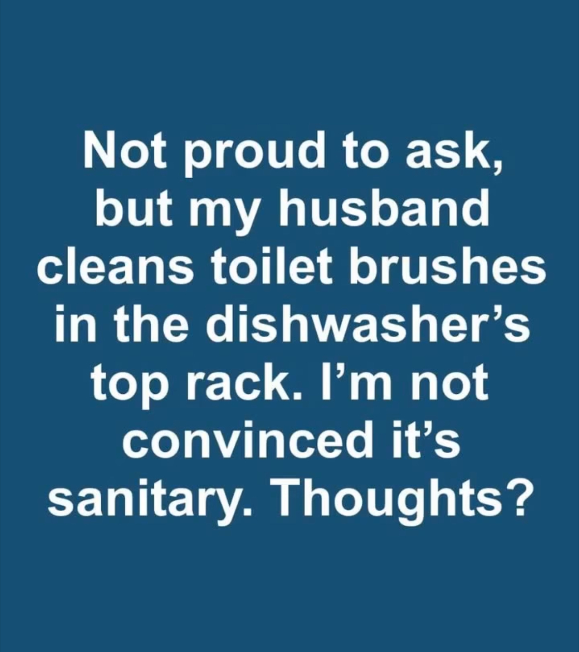 Can a toilet brush be washed in the dishwasher without risks?