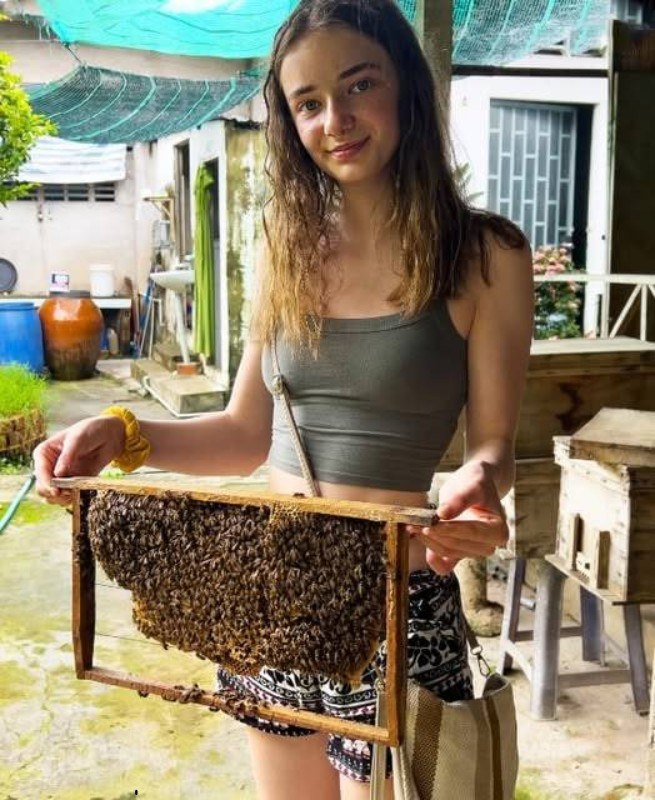 Our Late Father Left Me Only an Apiary While My Sister Took the House and Shut Me Out, but One Beehive Hid a Game-Changing Secret