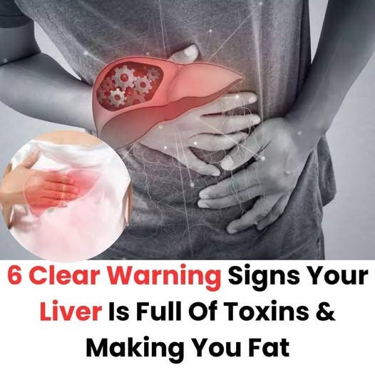 6 Clear Warning Signs Your Liver Is Full Of Toxins & Making You Fat