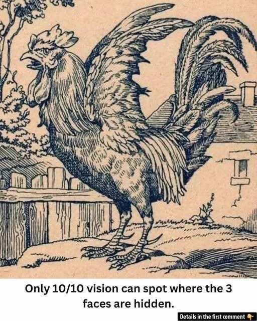 Do Your Eyes Have 10/10 Vision? Find the 3 Hidden Faces Today