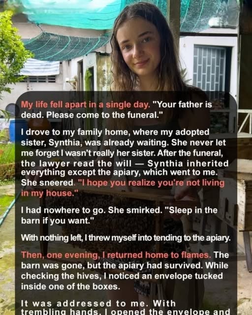My Father Left Me Only an Apiary While My Sister Took the House — One Beehive Held a Life-Changing Secret