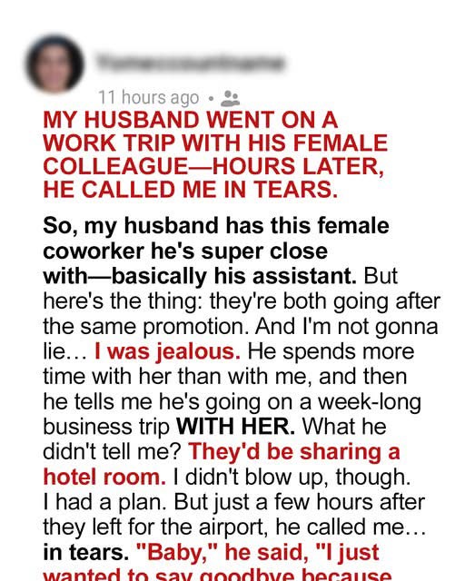 My Husband Went on a Work Trip