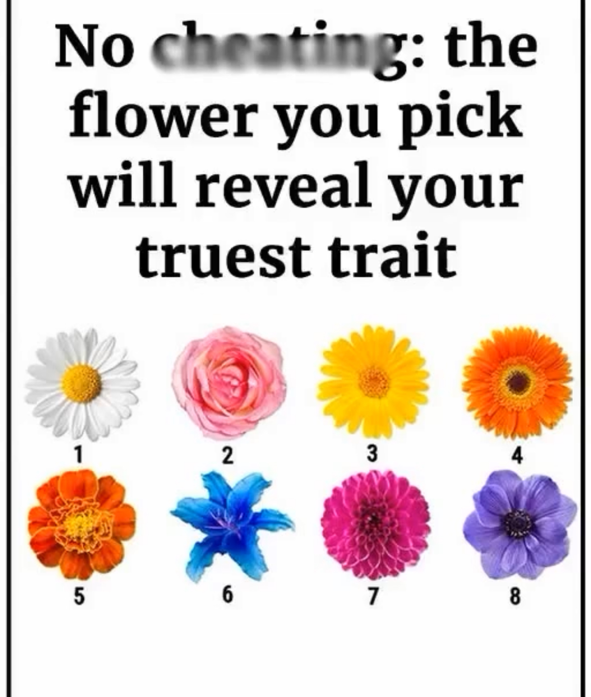 The Flower You Pick Will Reveal