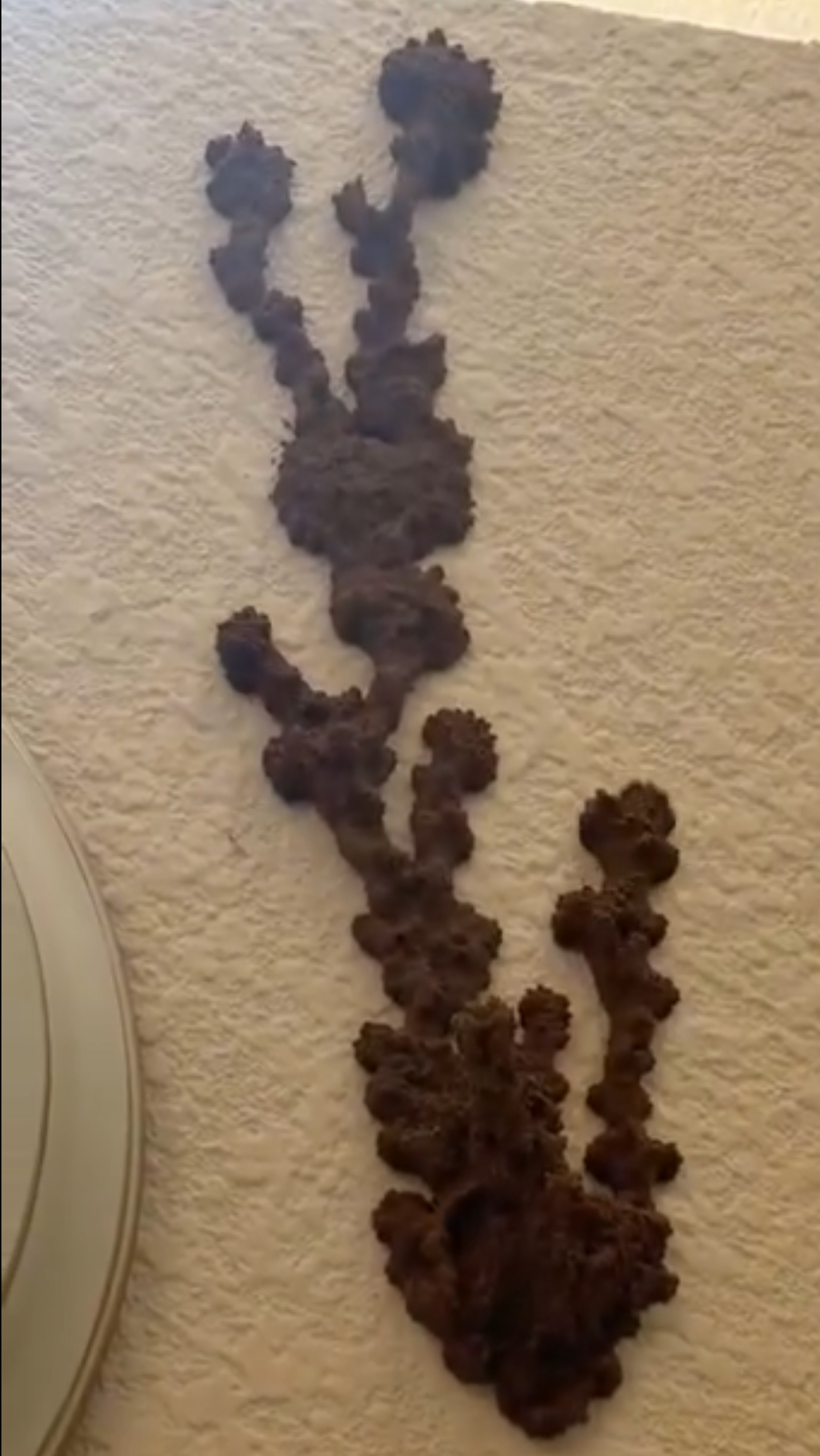 The Hidden Problem Behind an Everyday Wall