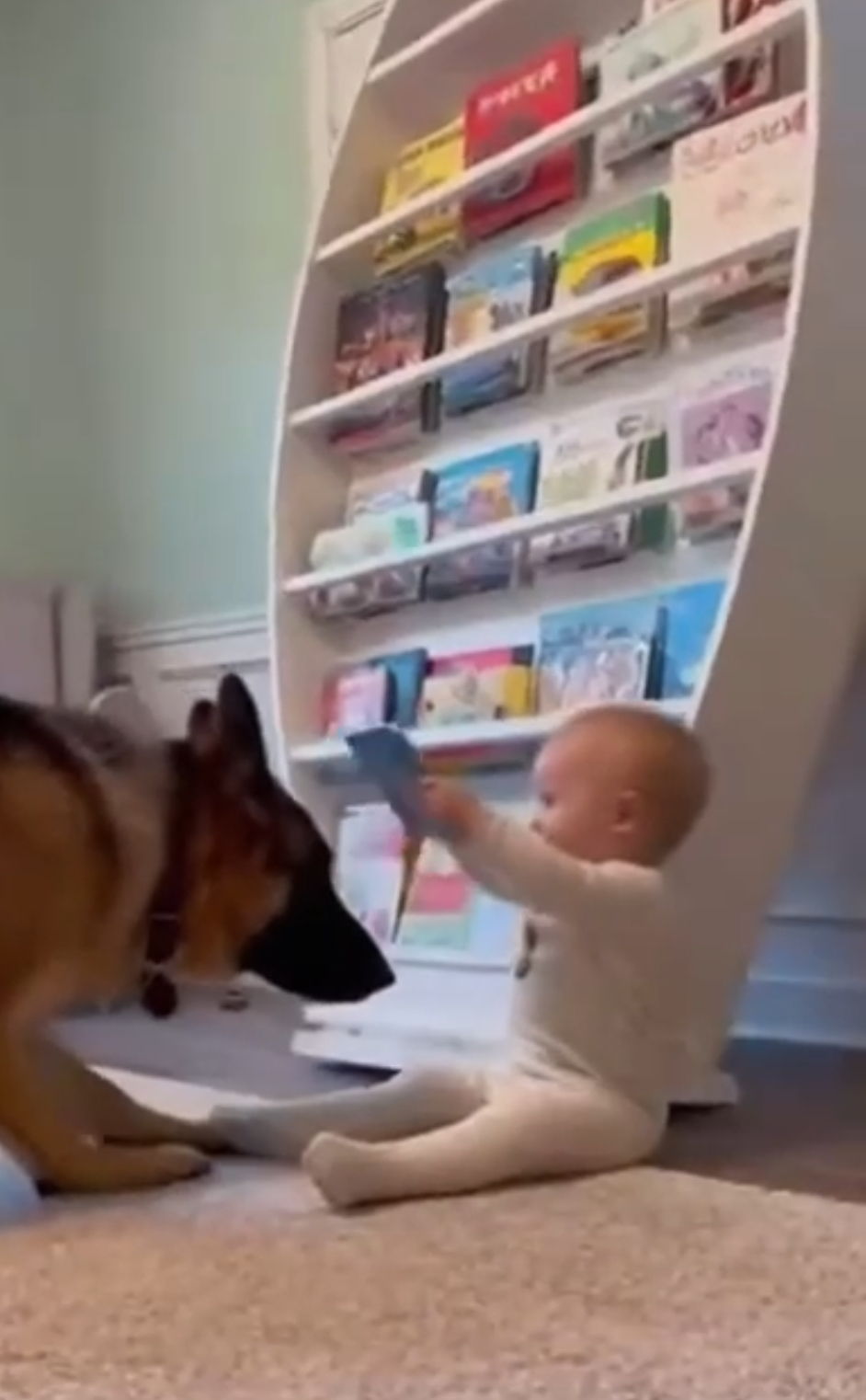 Dog Saves Child from Earthquake