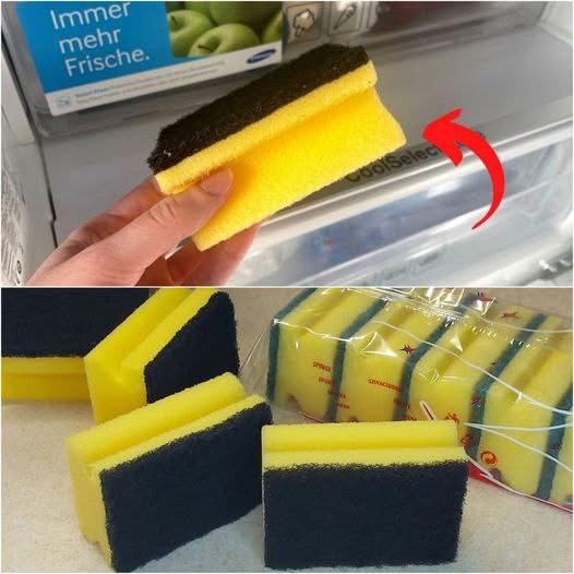A Simple Sponge Trick For The Fridge
