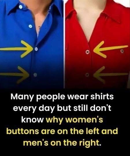 Why Are Women’s Buttons on the Left? The Fascinating Story Behind a Small Detail