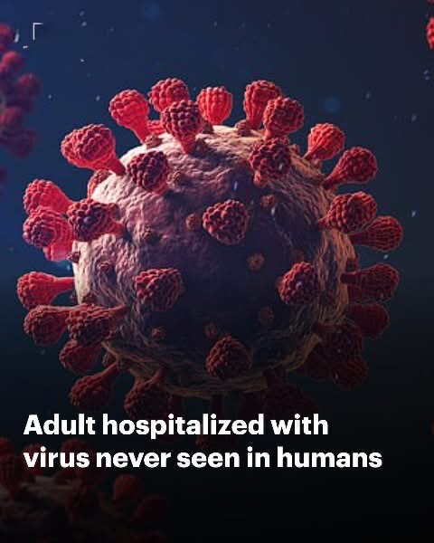 Washington resident hospitalized with virus never before seen in humans