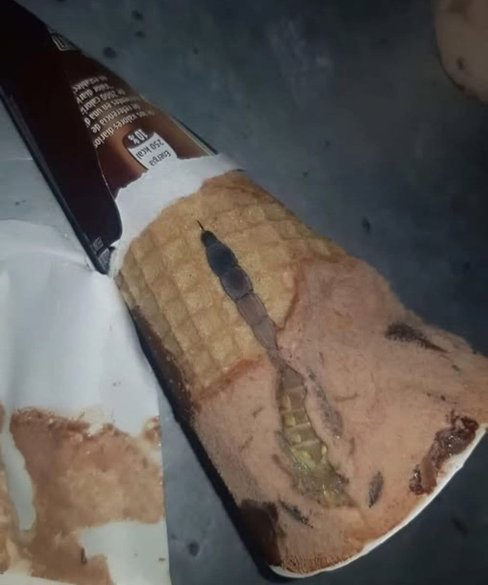 My Daughter Found Something Terrifying Hidden Inside Her Chocolate Ice Cream โ What We Discovered Left Us Shocked
