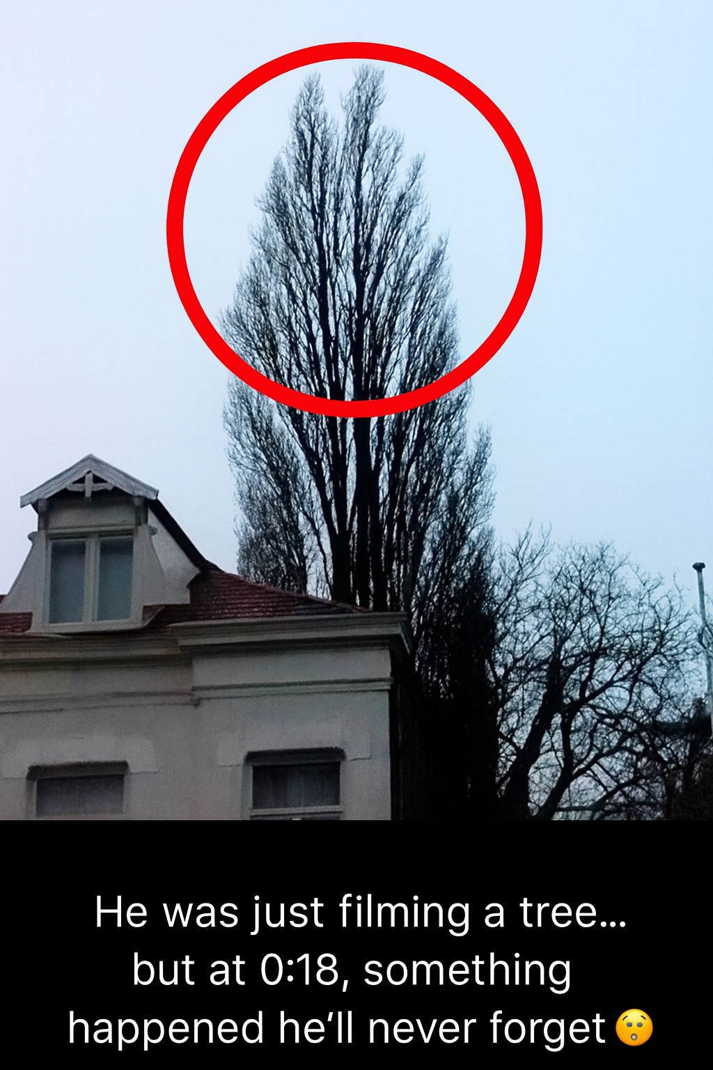 (2) He was just filming his backyard… then something unexpected happened