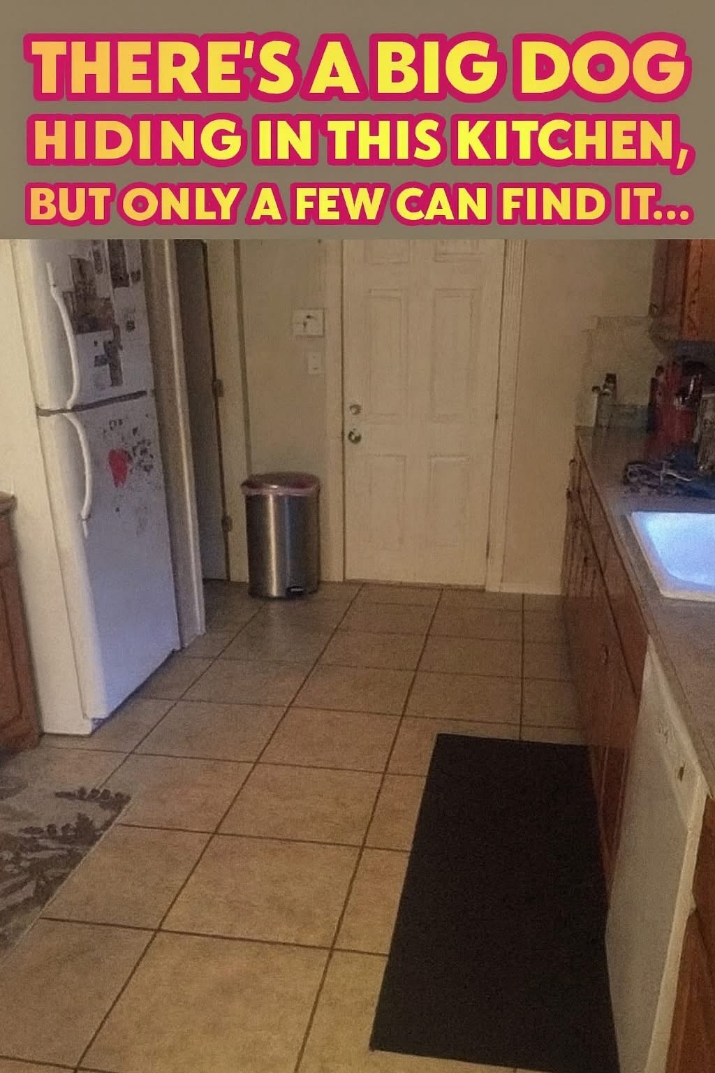 Only Sharp Eyes Can Spot the Hidden Dog in This Kitchen!