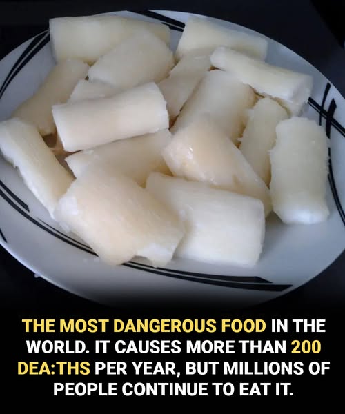 World’s Deadliest Food