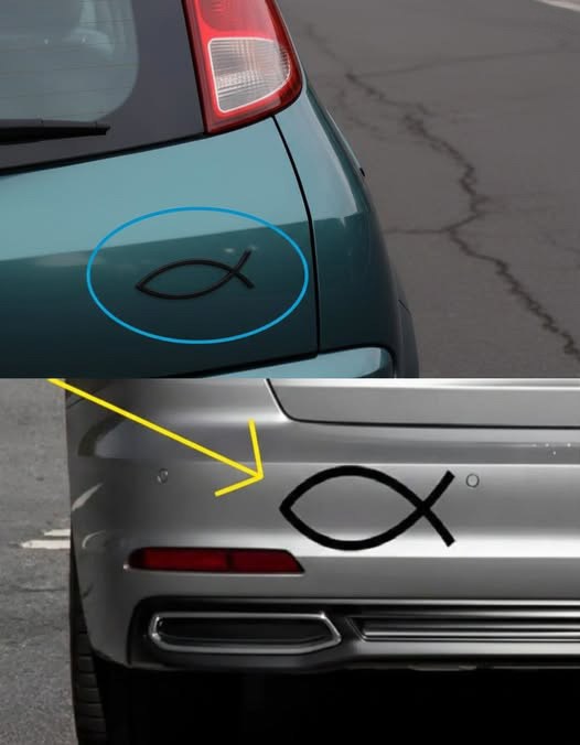What the Small Fish Symbol on Some Cars Really Means