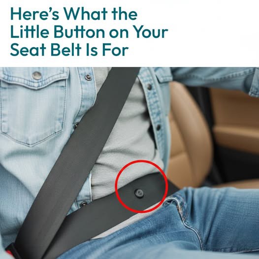 Seat Belt Button Purpose