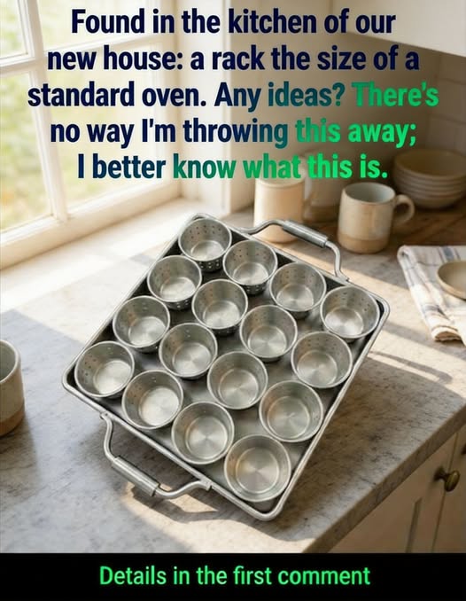 Mysterious Oven-Sized Rack Discovered in New Kitchen Sparks Questions From Homeowners