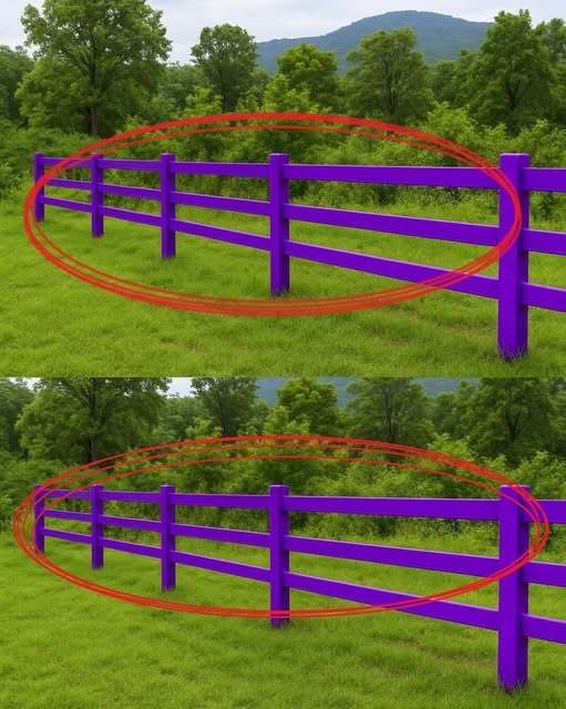 If You See a Painted Purple Fence, This Is What It Means