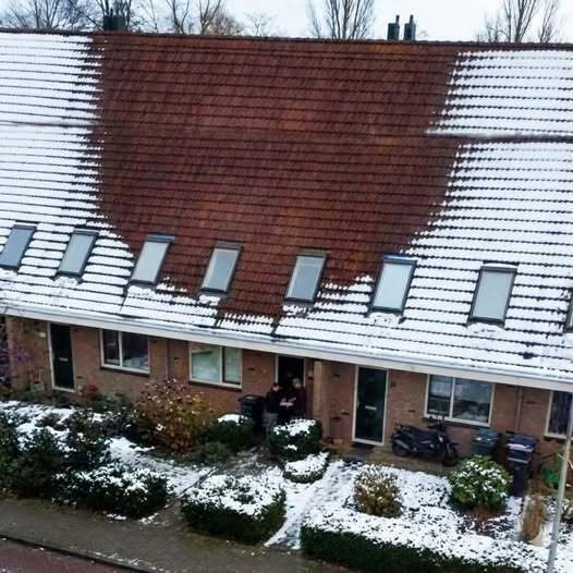 neighbour noticed that the snow >>>